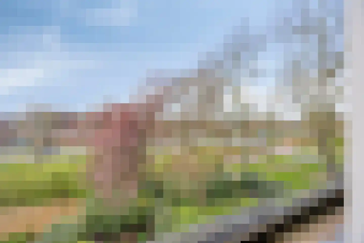 Bronkhorst 4 Oosterhout thumbnail 31