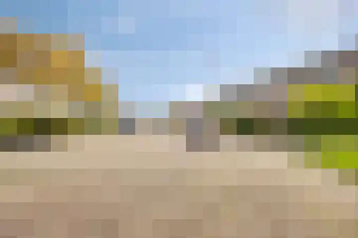 Bronkhorst 4 Oosterhout thumbnail 33
