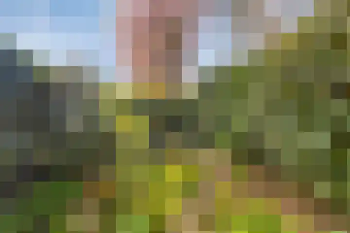 Bronkhorst 4 Oosterhout thumbnail 5