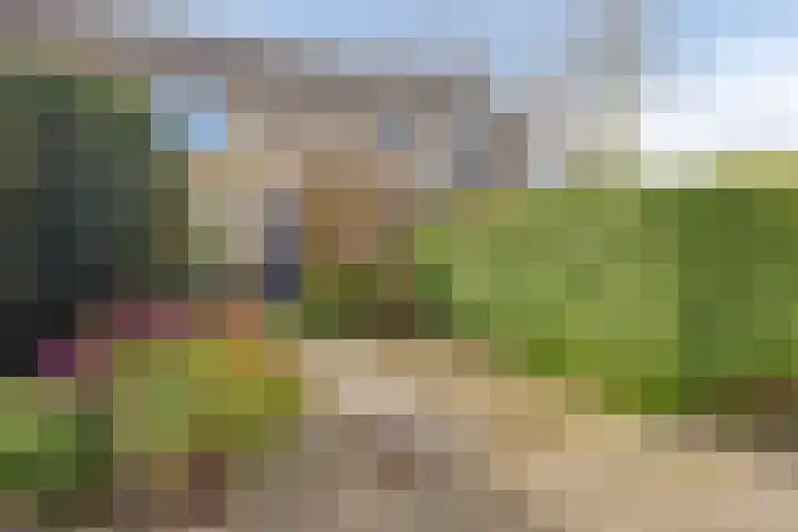 Bronkhorst 4 Oosterhout thumbnail 7
