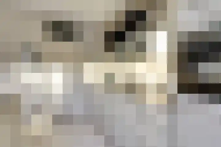 Bronkhorst 44 Oosterhout thumbnail 11