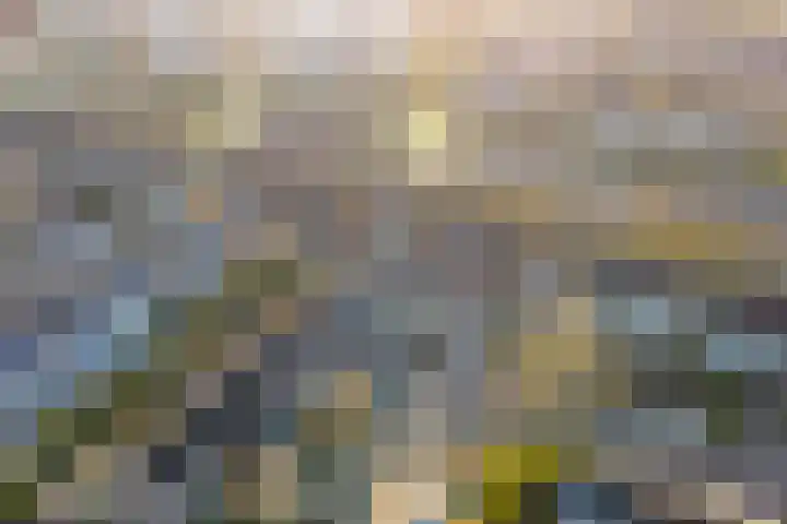 Bronkhorst 44 Oosterhout thumbnail 25