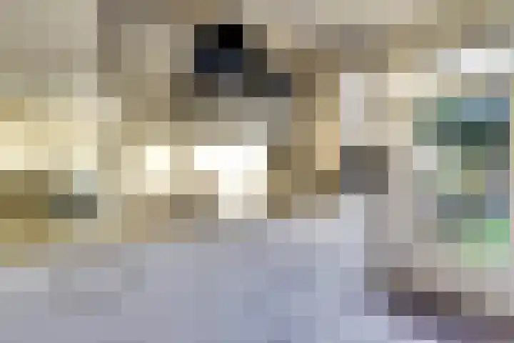Bronkhorst 44 Oosterhout thumbnail 8