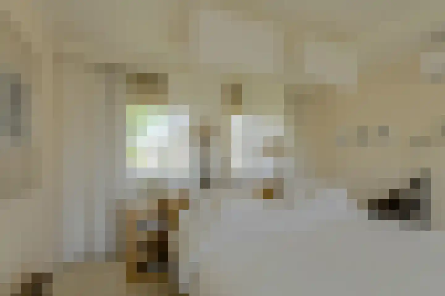Bronkhorst 46 Oosterhout thumbnail 21