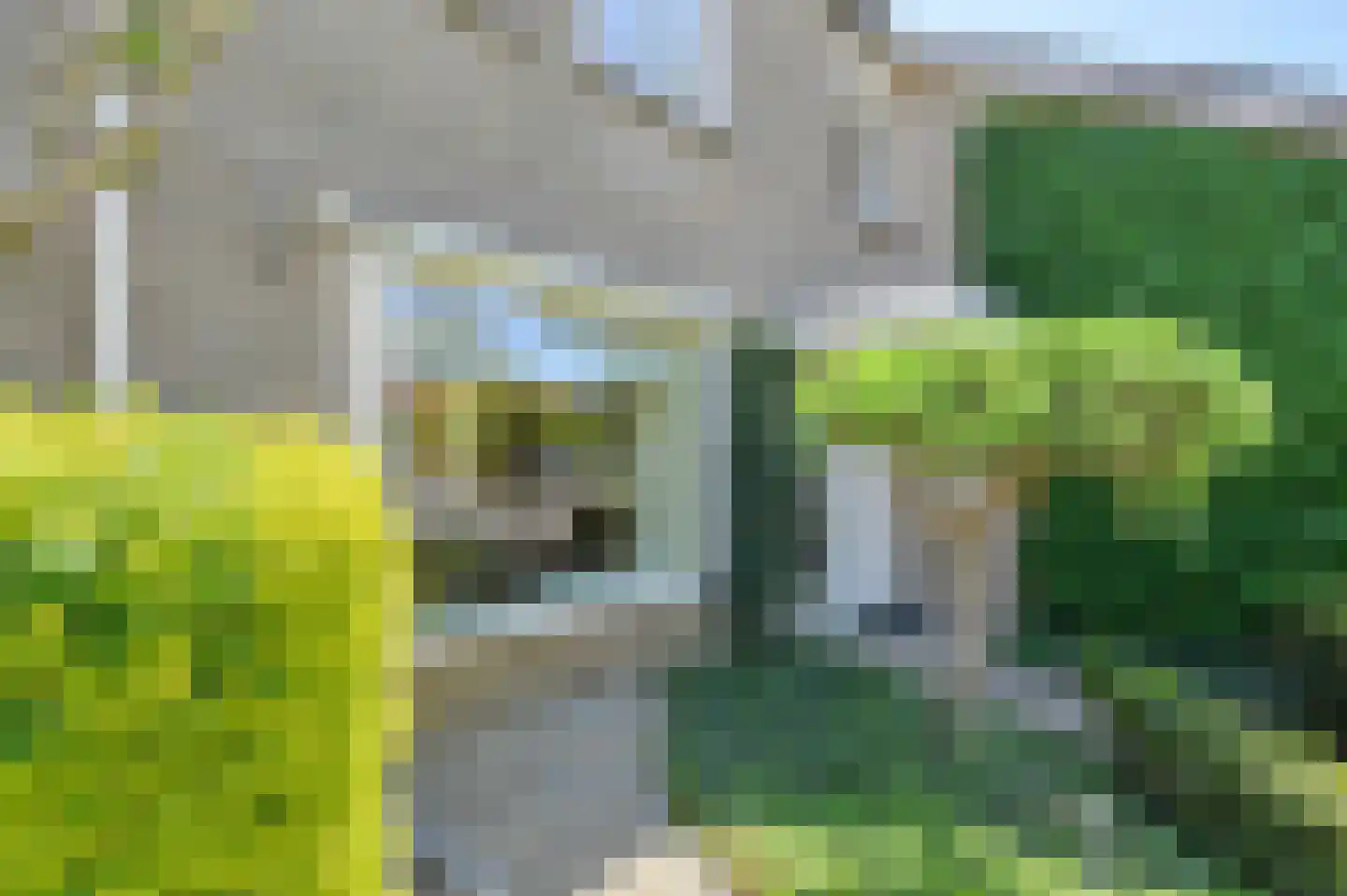 Bronkhorst 46 Oosterhout thumbnail 31
