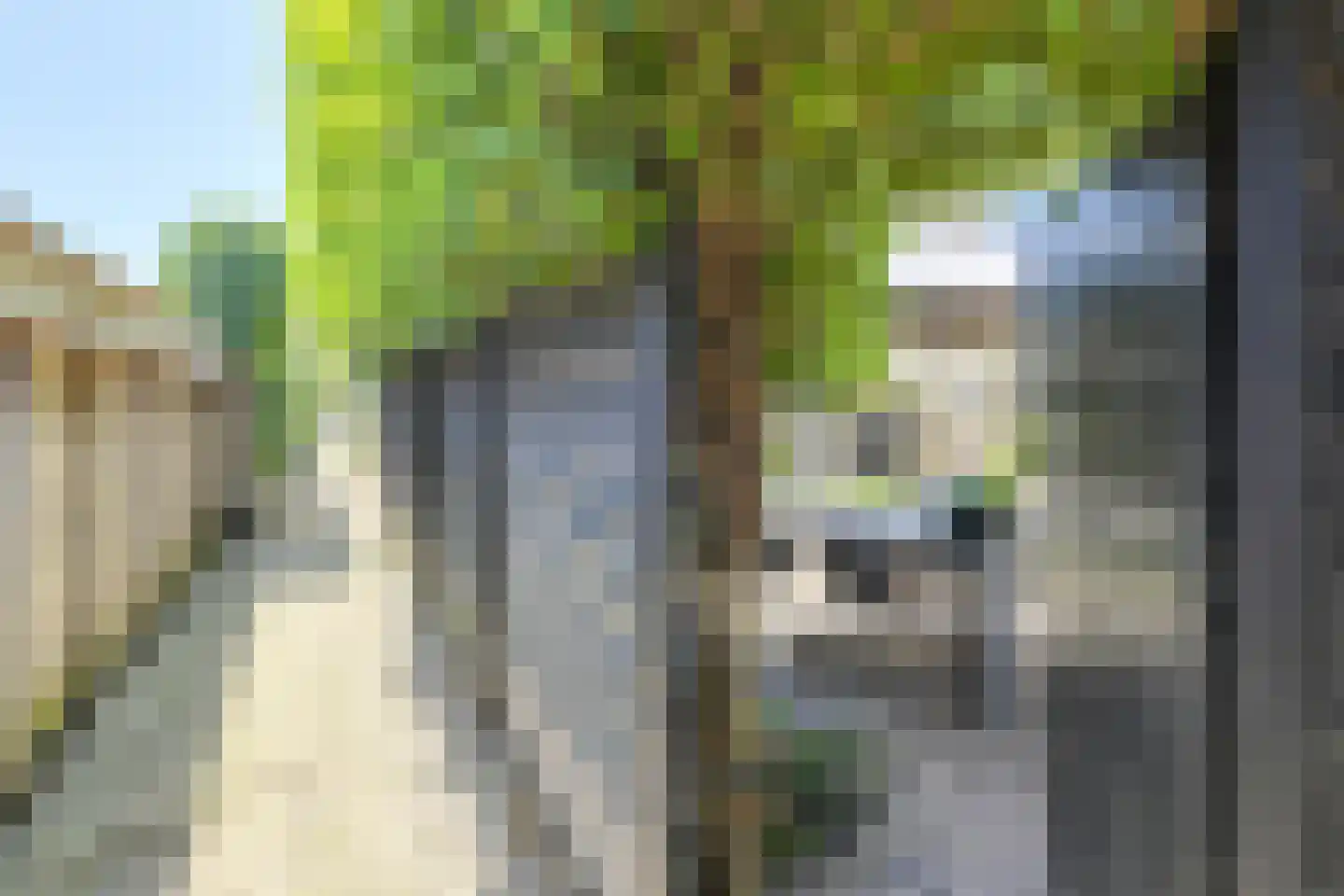 Bronkhorst 46 Oosterhout thumbnail 37