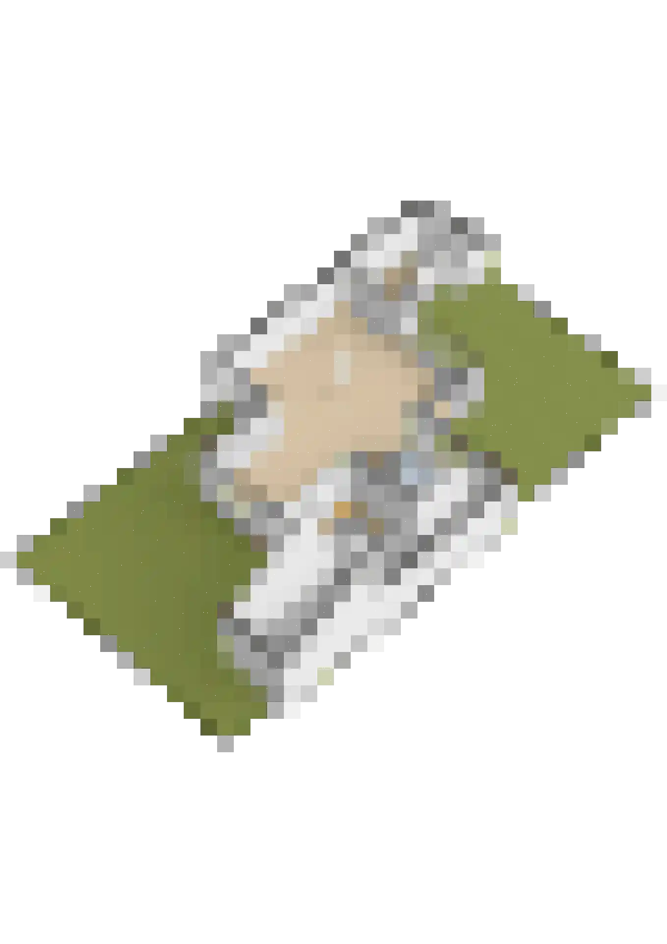 Bronkhorst 46 Oosterhout thumbnail 46
