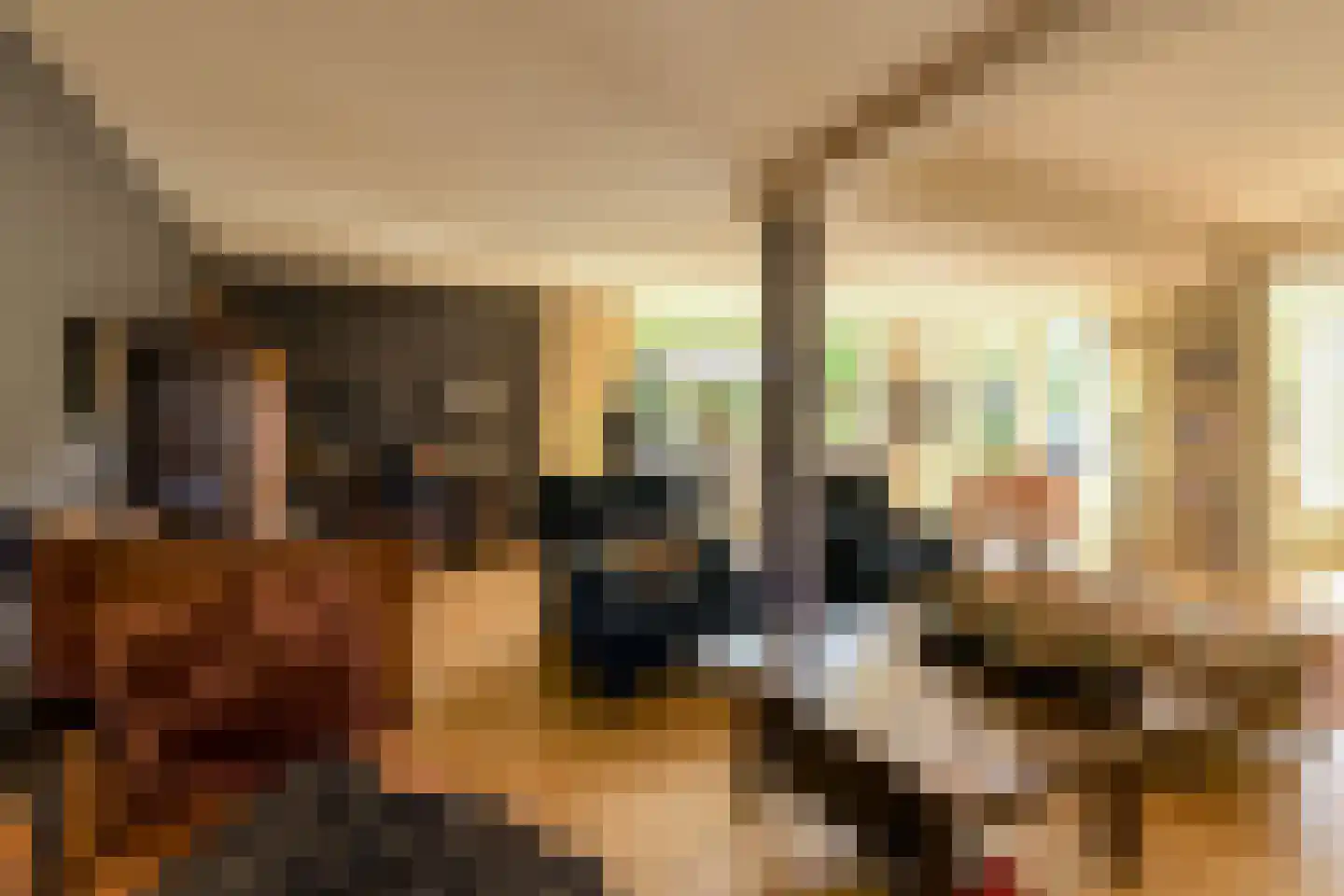 Bronkhorst 46 Oosterhout thumbnail 8