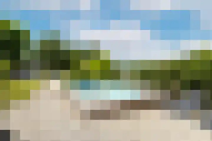 Bronkhorst 8 Andel thumbnail 41