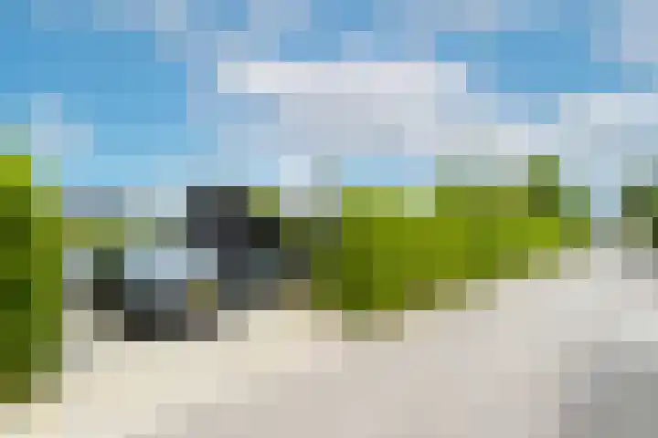Bronkhorst 8 Andel thumbnail 7