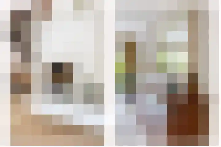 Bronkhorsterslag 2 Didam thumbnail 11