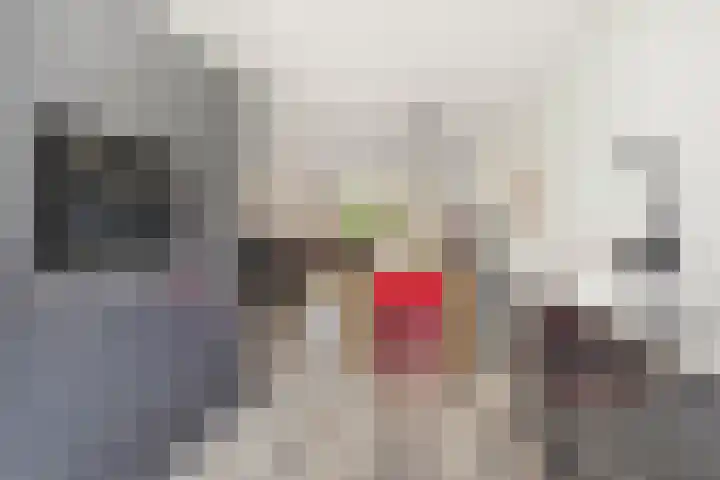 Bronkhorsterslag 2 Didam thumbnail 15