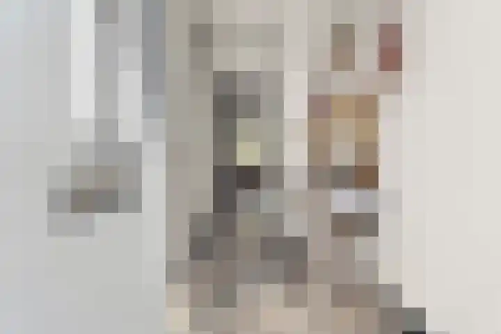 Bronkhorsterslag 2 Didam foto 2