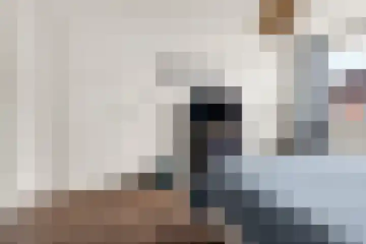 Bronkhorsterslag 2 Didam thumbnail 22