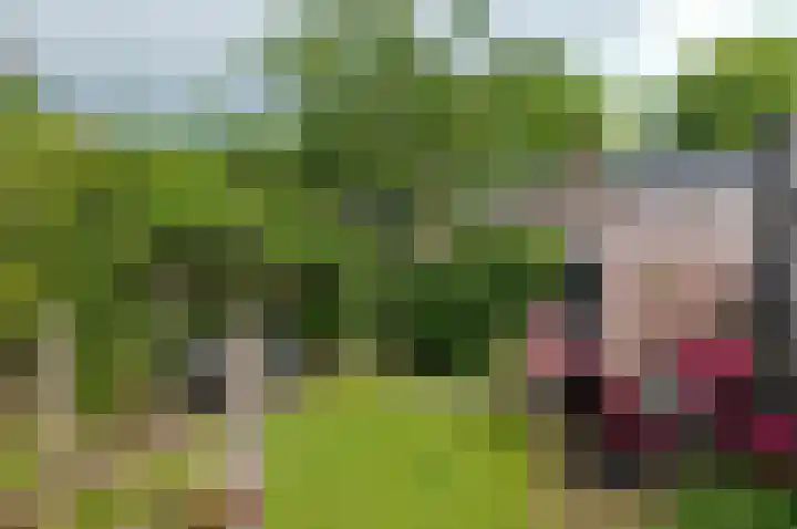 Bronkhorsterslag 2 Didam thumbnail 29