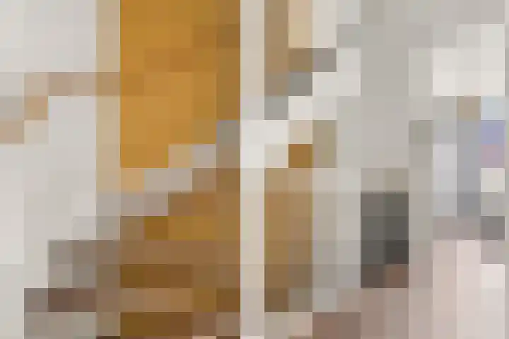 Bronkhorsterslag 2 Didam thumbnail 31