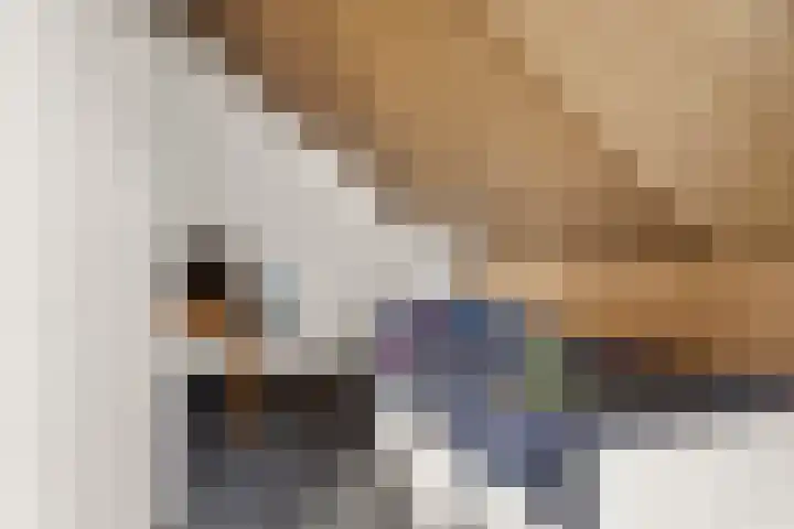 Bronkhorsterslag 2 Didam thumbnail 37