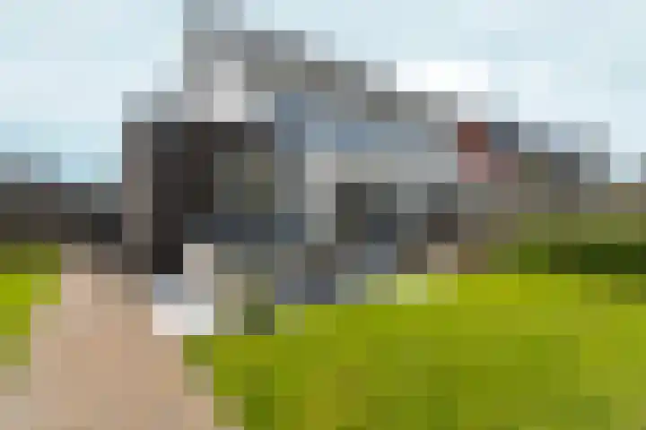 Bronkhorsterslag 2 Didam thumbnail 39