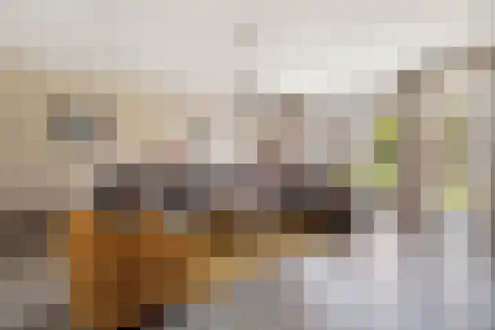 Bronkhorsterslag 2 Didam thumbnail 4