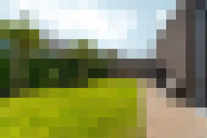 Bronkhorsterslag 2 Didam thumbnail 44