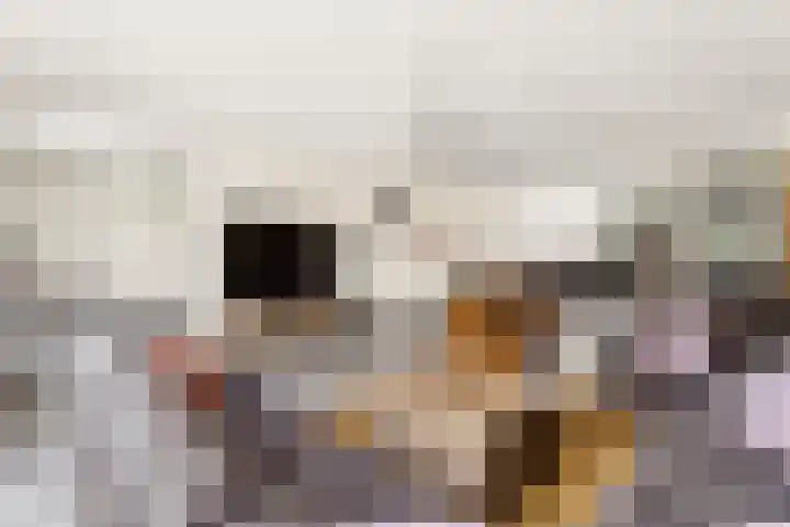 Bronkhorsterslag 2 Didam thumbnail 8