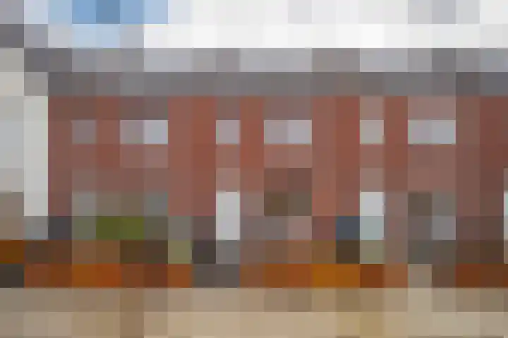 Bronkhorsterslag 20 dans Didam