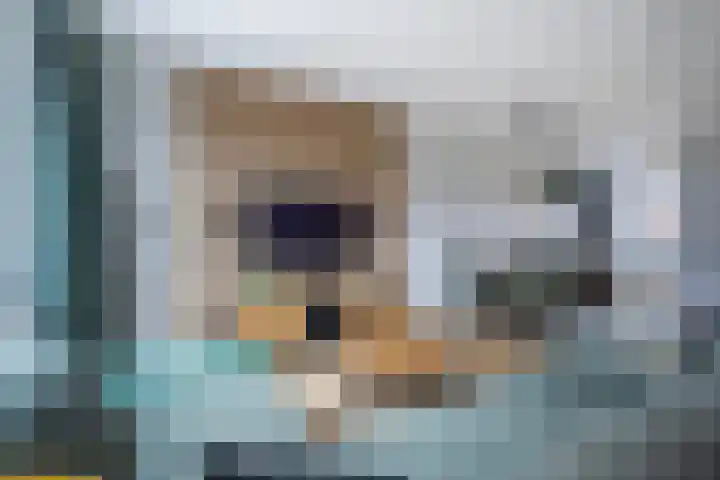 Bronkhorsterslag 20 Didam thumbnail 13