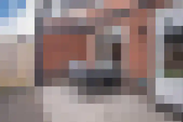 Bronkhorsterslag 20 Didam thumbnail 16
