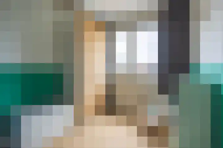 Bronkhorsterslag 20 Didam thumbnail 23