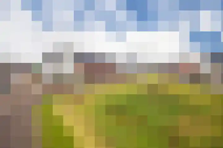 Bronkhorsterslag 20 Didam thumbnail 30