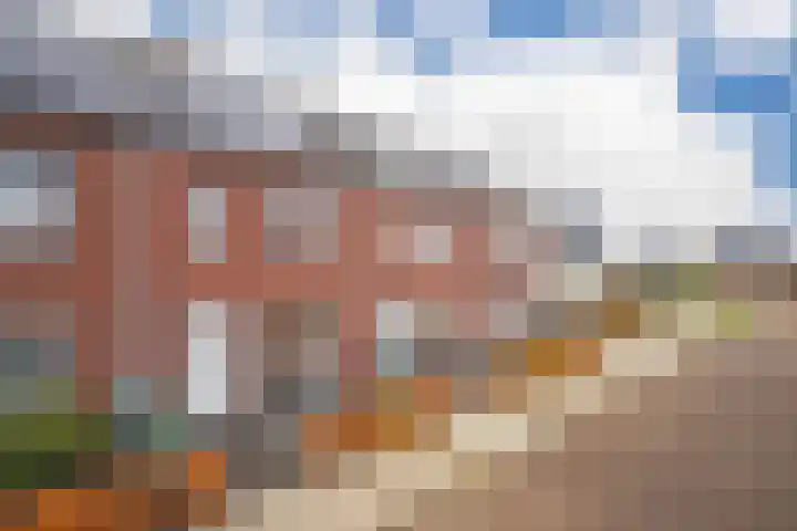 Bronkhorsterslag 20 Didam thumbnail 31