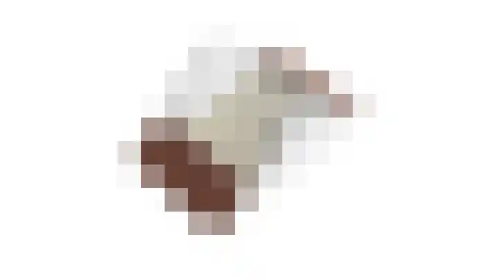 Bronkhorsterslag 20 Didam thumbnail 40
