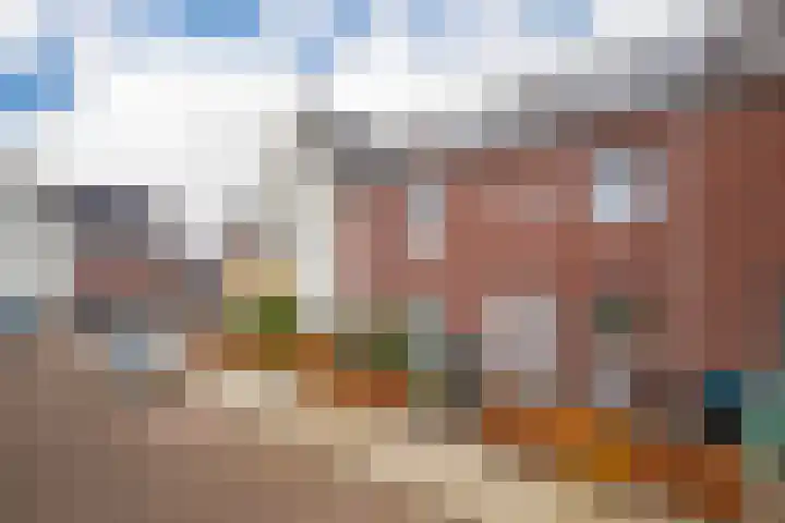 Bronkhorsterslag 20 Didam thumbnail 5