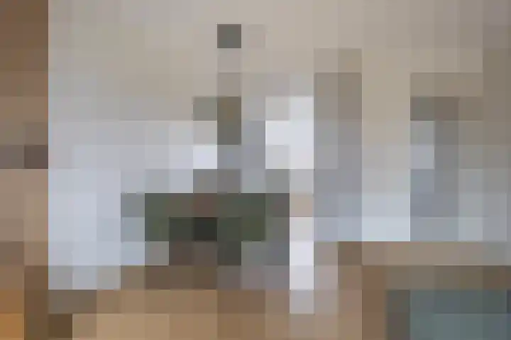Bronkhorsterslag 20 Didam thumbnail 8