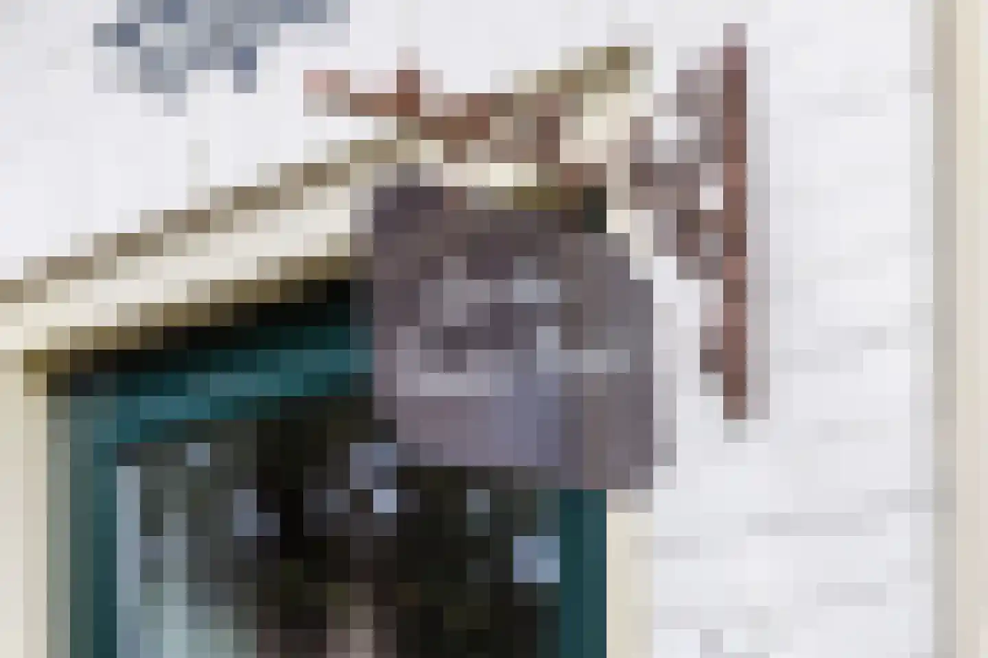 Bronkhorsterweg 2 B Steenderen thumbnail 11