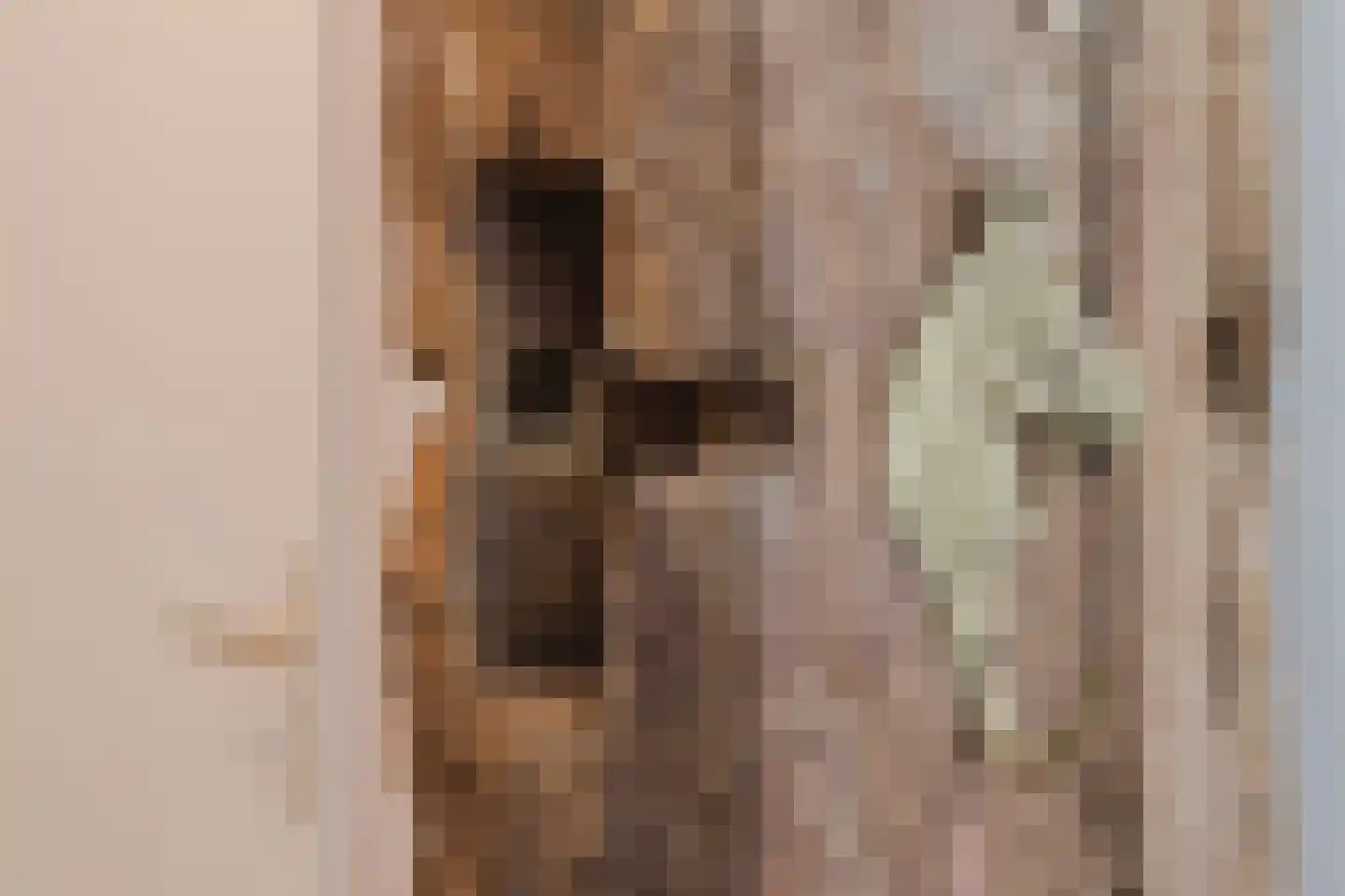 Bronkhorsterweg 2 B Steenderen thumbnail 16