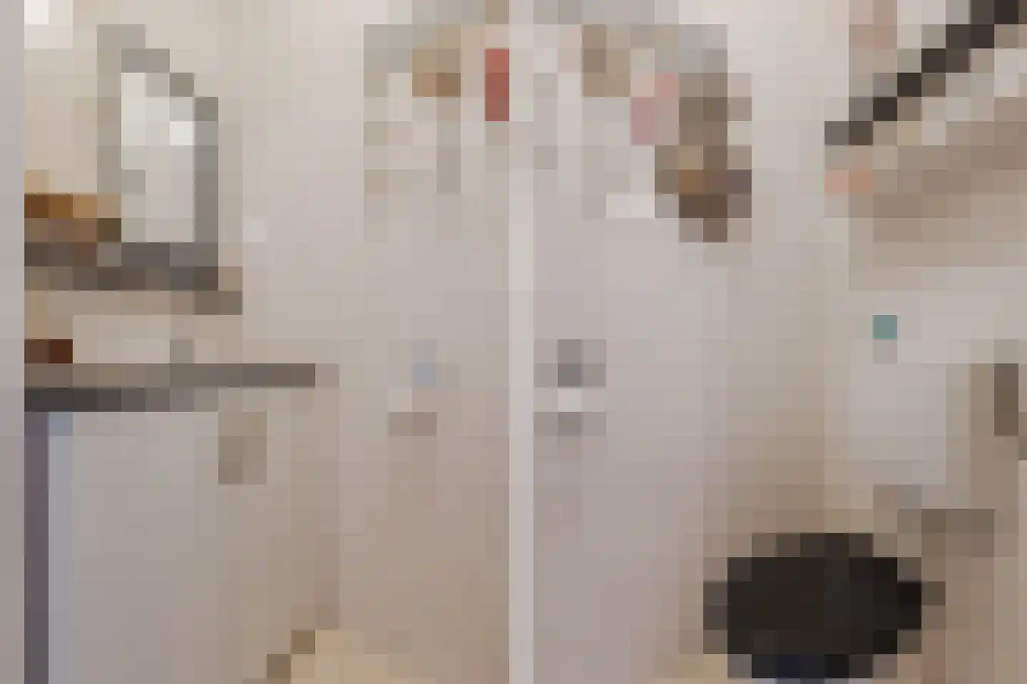 Bronkhorsterweg 2 B Steenderen thumbnail 17
