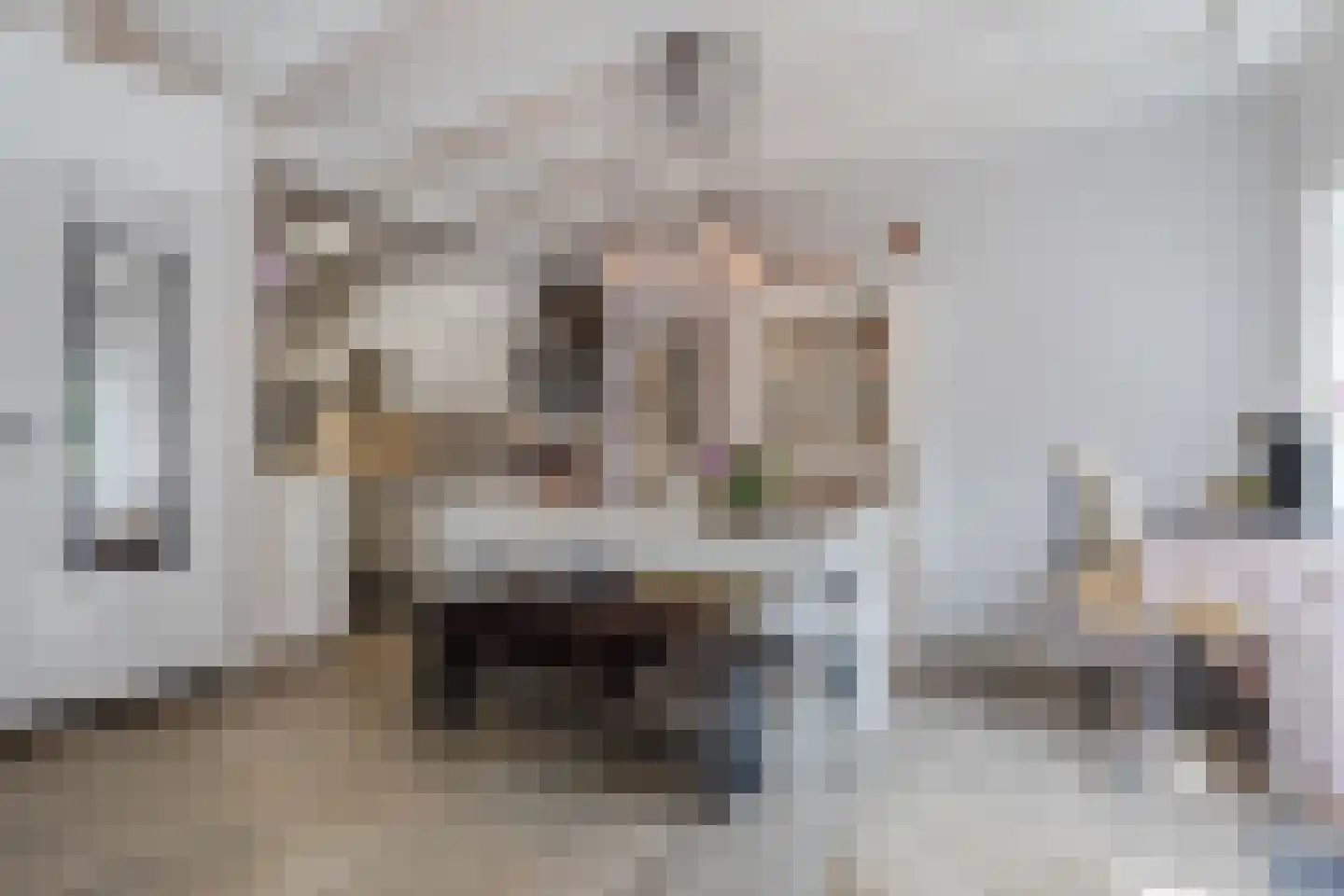 Bronkhorsterweg 2 B Steenderen thumbnail 20