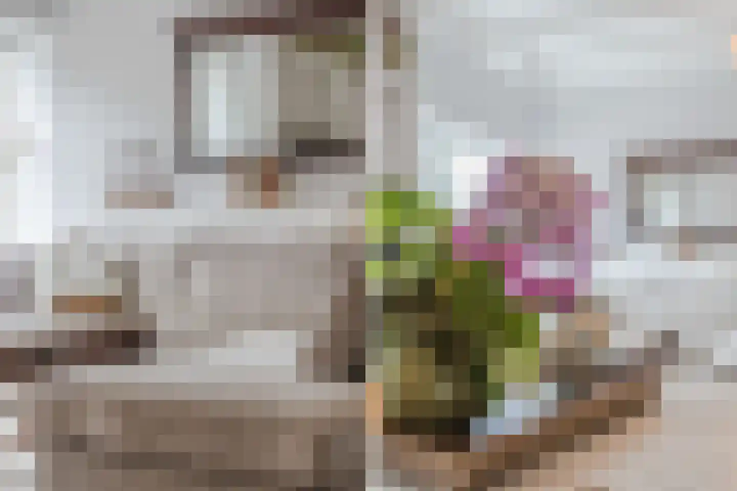 Bronkhorsterweg 2 B Steenderen thumbnail 22
