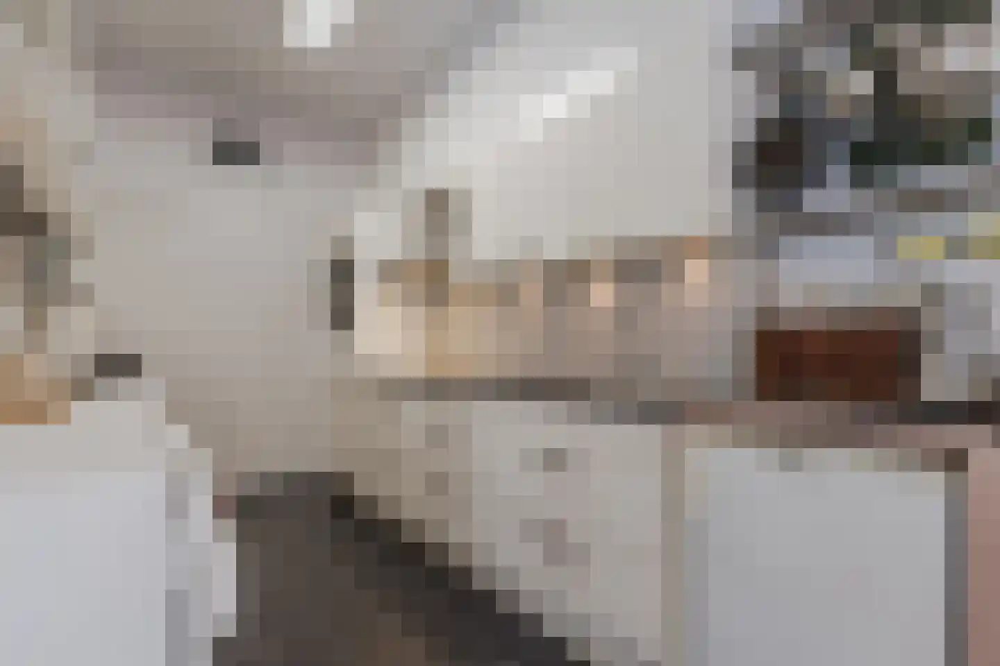 Bronkhorsterweg 2 B Steenderen thumbnail 23