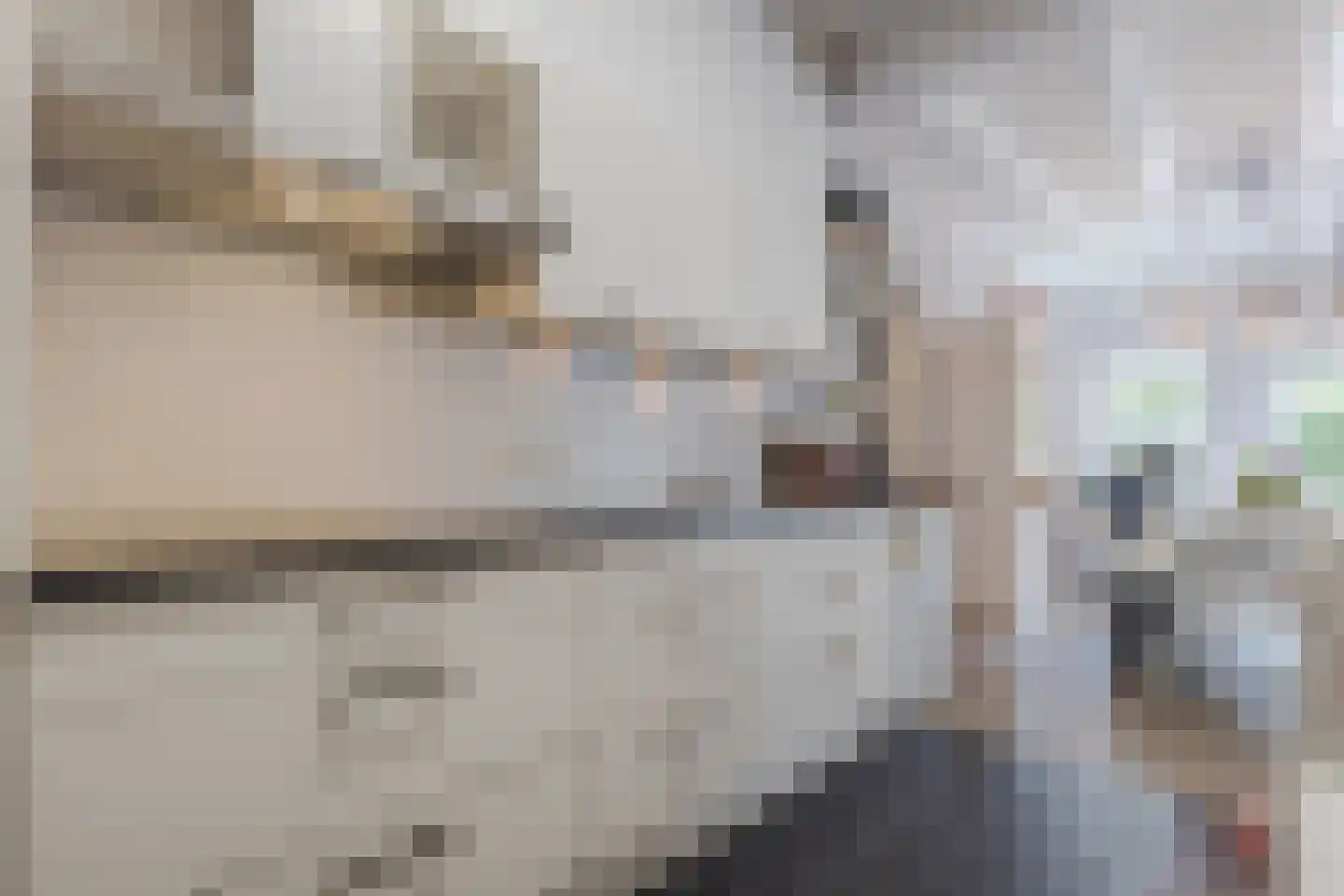Bronkhorsterweg 2 B Steenderen thumbnail 24