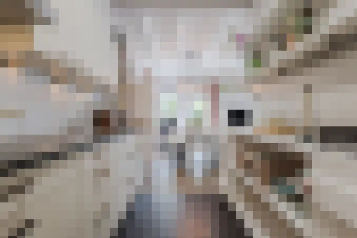 Bronkhorsterweg 2 B Steenderen thumbnail 25