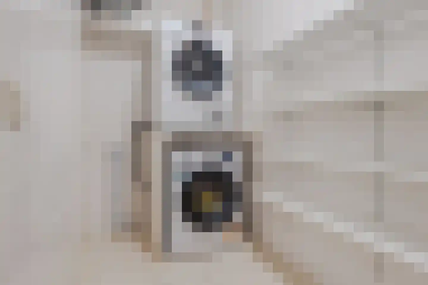 Bronkhorsterweg 2 B Steenderen thumbnail 30