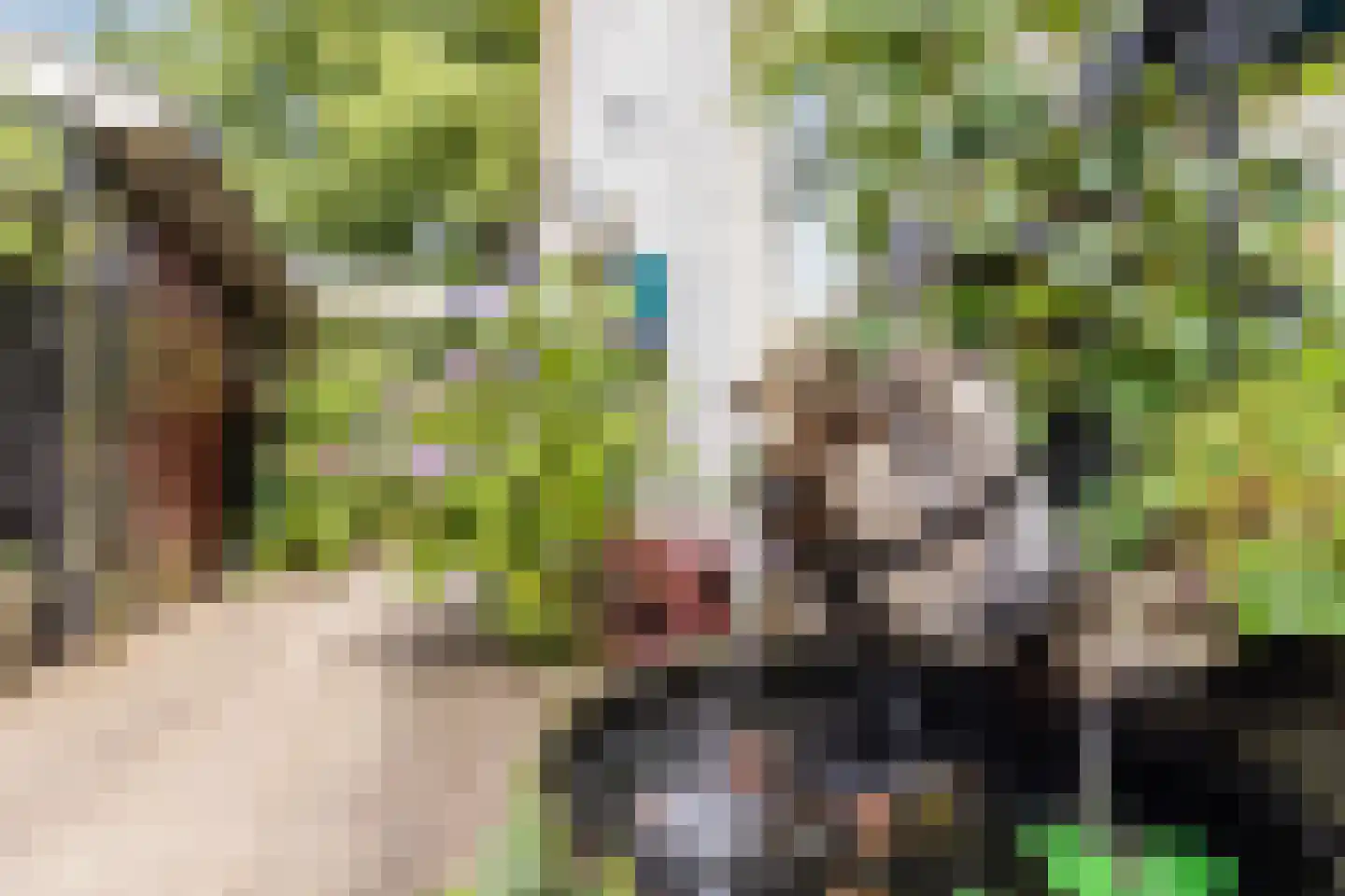 Bronkhorsterweg 2 B Steenderen thumbnail 7