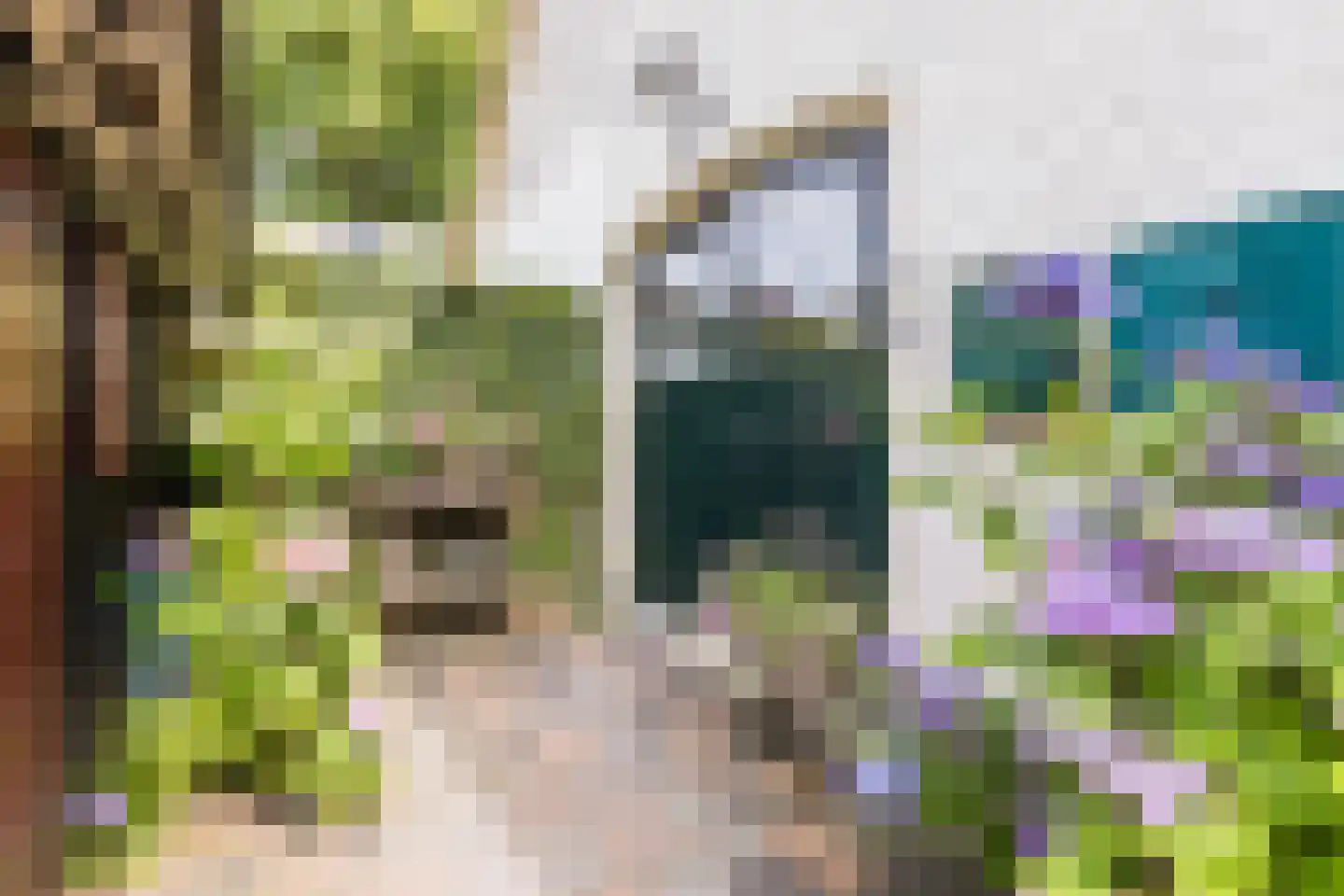 Bronkhorsterweg 2 B Steenderen thumbnail 9