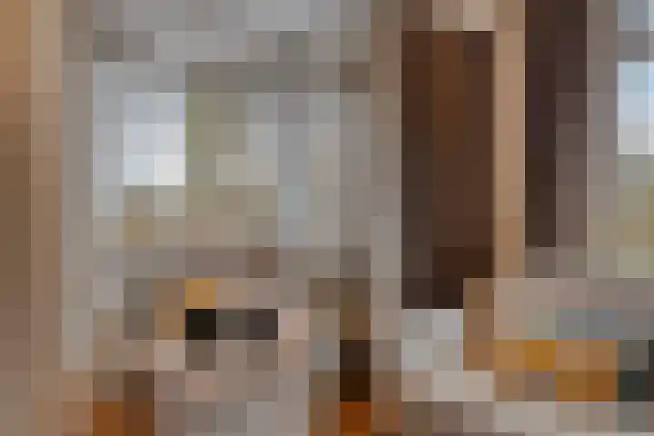 Bronkhorsterweg 3 Steenderen thumbnail 10
