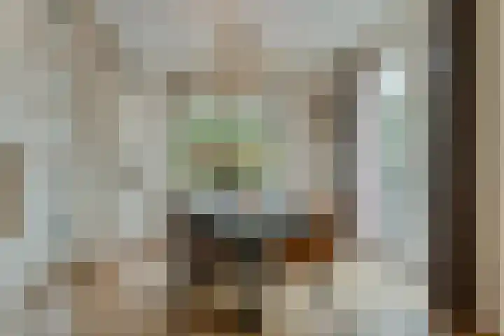 Bronkhorsterweg 3 Steenderen thumbnail 16