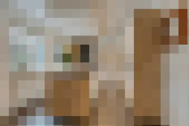 Bronkhorsterweg 3 Steenderen thumbnail 17