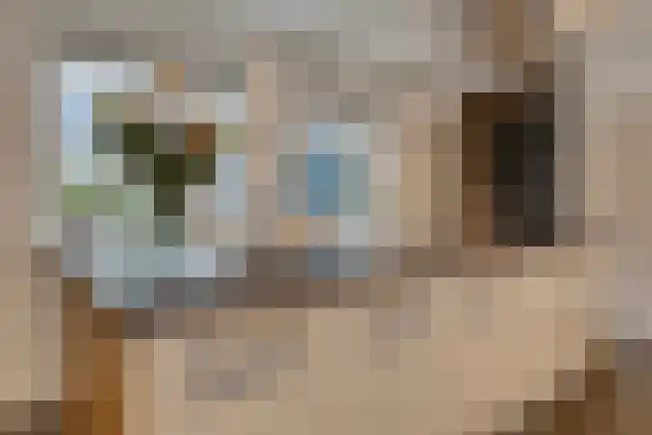 Bronkhorsterweg 3 Steenderen thumbnail 18