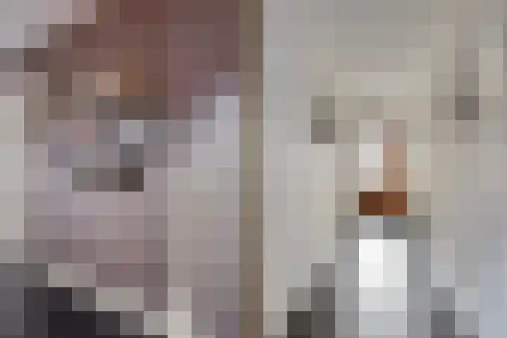 Bronkhorsterweg 3 Steenderen thumbnail 25